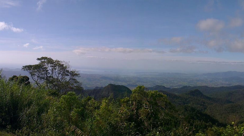 Green Climate Fund approves $52.5 Million For Restoring Fiji’s Forest Landscape To Support Food Security And Livelihoods