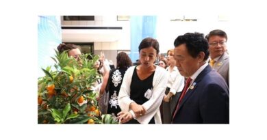 FAO Opens First Global Conference On Smart Farming To Accelerate Innovation For Farmers FAO Opens First Global Conference On Smart Farming To Accelerate Innovation For Farmers
