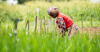 Côte D'ivoire Secures Climate Finance To Support Smallholder Farmers To Adapt To Climate Change