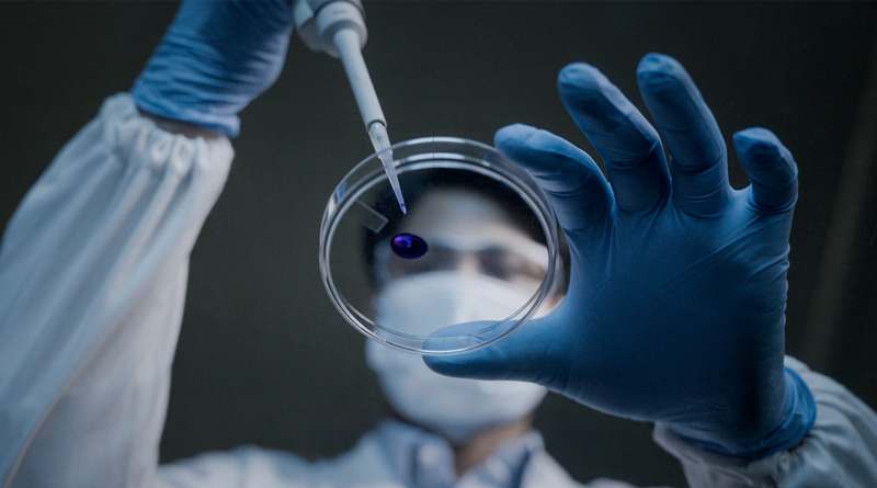 Pioxaniliprole: India’s First Discovered Molecule for Crop Protection