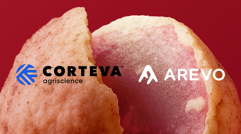 Corteva Partners with Arevo to Strengthen Soybean Nutrition in Europe