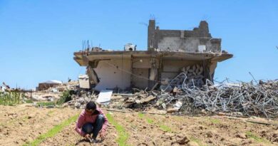 Food Security And Child Nutrition Crises Persist In Gaza Despite Fragile Gains Due To Increased Humanitarian Assistance And Commercial Traffic Food Security And Child Nutrition Crises Persist In Gaza Despite Fragile Gains Due To Increased Humanitarian Assistance And Commercial Traffic