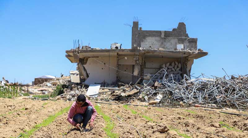 Food Security And Child Nutrition Crises Persist In Gaza Despite Fragile Gains Due To Increased Humanitarian Assistance And Commercial Traffic