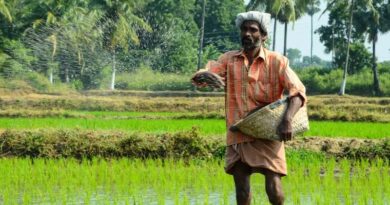 Why India Needs One Million Agri-MSMEs for the Next Agricultural Revolution Why India Needs One Million Agri-MSMEs for the Next Agricultural Revolution