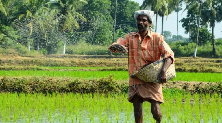 Why India Needs One Million Agri-MSMEs for the Next Agricultural Revolution