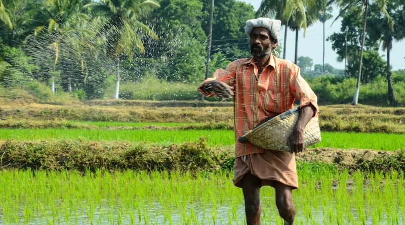 Why India Needs One Million Agri-MSMEs for the Next Agricultural Revolution
