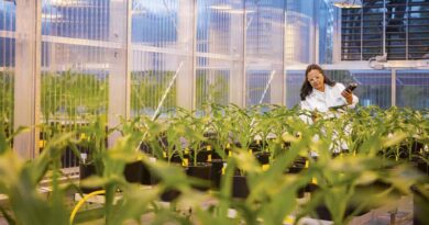 ASF Successfully Enforces Saflufenacil Patent in Australia, Strengthening Crop Protection IP