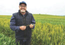 AgQuip Forum To Put Nitrogen And Disease Management In The Spotlight