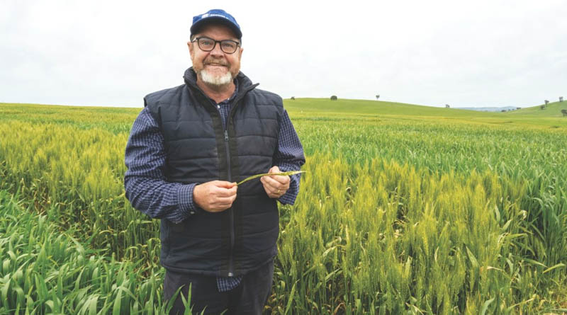 AgQuip Forum To Put Nitrogen And Disease Management In The Spotlight