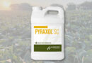 Albaugh Introduces Pyraxol™ SC Herbicide to U.S. Market