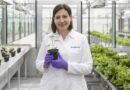 American Chemical Society Honors Syngenta’s Camilla Corsi with 2026 International Award for Research in Agrochemicals