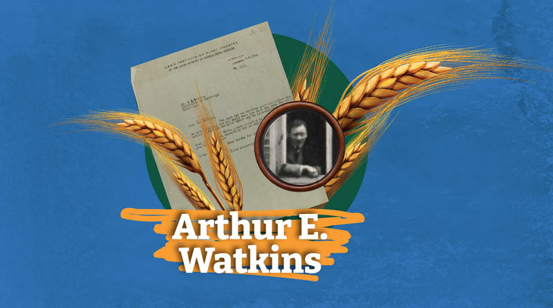 Arthur E. Watkins: The Wheat Collector Who Saved Diversity for the Future