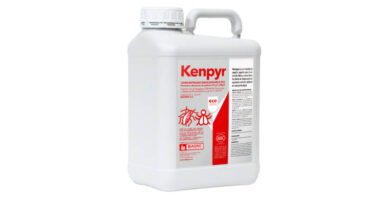Biagro Kenpyr: Natural Pyrethrin Insecticide for Aphids Biagro Kenpyr Natural Pyrethrin Insecticide for Aphids