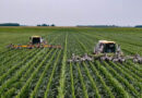 Carbosulfan Ban Tracker Where the Insecticide Is Restricted Worldwide