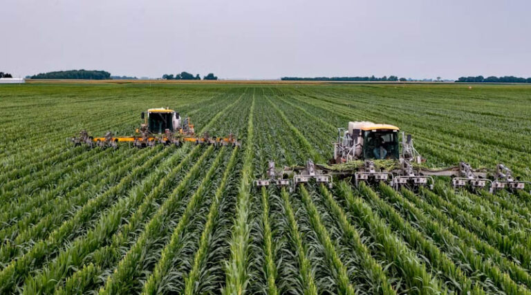 Carbosulfan Ban Tracker Where the Insecticide Is Restricted Worldwide