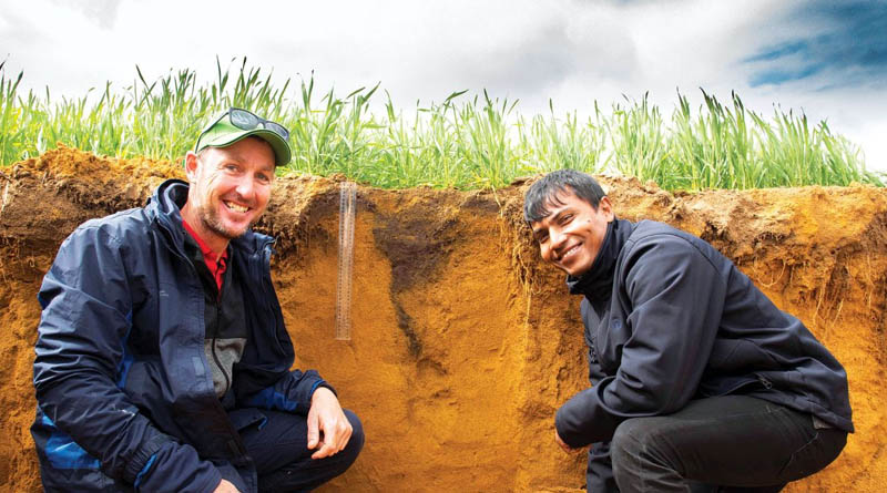 Celebrating 3 Decades of WA DPIRD and GRDC Collaboration