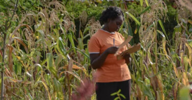 Climate Adaptation Can Worsen Inequality, But It Shouldn’t Climate Adaptation Can Worsen Inequality, But It Shouldn’t