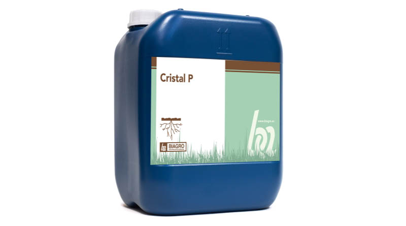 Cristal P — NP Solution with Amino Acids