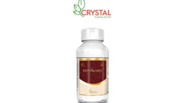Crystal Crop Protection launches New Fungicide DOMINARIS Crystal Crop Protection launches New Fungicide DOMINARIS