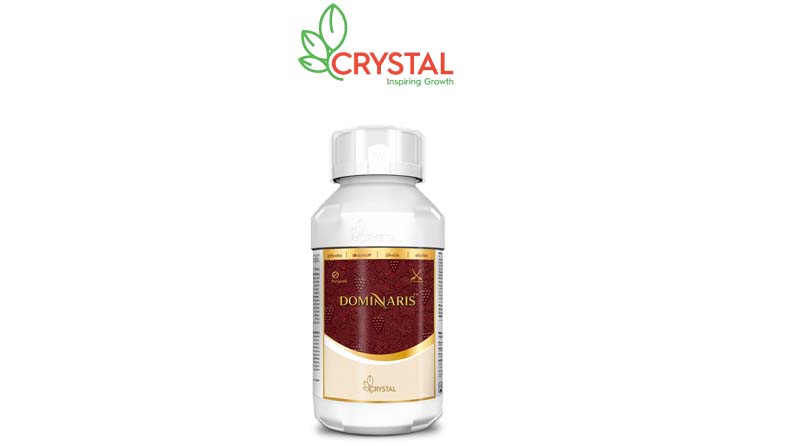 Crystal Crop Protection launches New Fungicide DOMINARIS