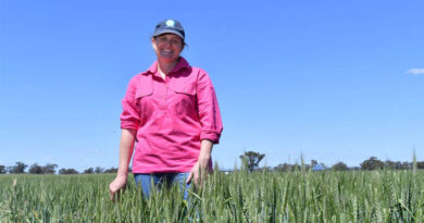 Eyre Peninsula Growers Invited To Help Shape Future Grains Investment