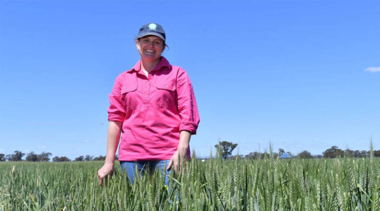 Eyre Peninsula Growers Invited To Help Shape Future Grains Investment