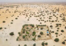 FAO at COP17 Pastoralists Are Essential Partners In Rangeland Restoration