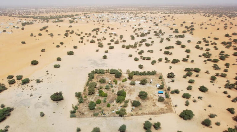 FAO at COP17 Pastoralists Are Essential Partners In Rangeland Restoration
