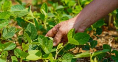 Fertilizer Industry Celebrates the Grower-Retailer Partnerships Driving Nutrient Stewardship Forward