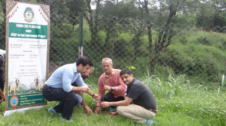 Fodder Tree Plantation Held Under AICRP on Goat Improvement at Agriversity