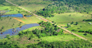 From Evidence to Action What CGIAR is Bringing to UNCCD COP17
