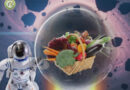 From Seed to Seed Tiangong Space Station Achieves Full Life-Cycle Crop Cultivation in Microgravity