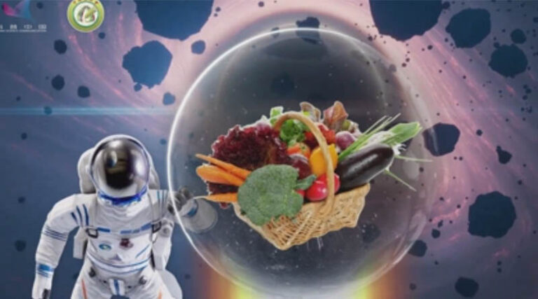 From Seed to Seed Tiangong Space Station Achieves Full Life-Cycle Crop Cultivation in Microgravity