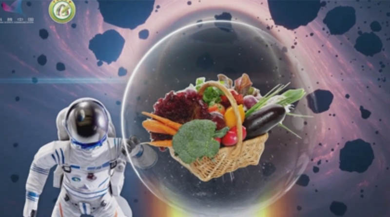 From Seed to Seed Tiangong Space Station Achieves Full Life-Cycle Crop Cultivation in Microgravity