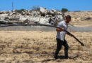 Gaza Strip Only 3 Percent of Gaza’s Cropland Remains Accessible And Undamaged, New Assessment Finds