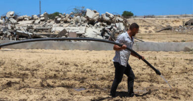 Gaza Strip Only 3 Percent of Gaza’s Cropland Remains Accessible And Undamaged, New Assessment Finds