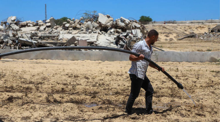 Gaza Strip Only 3 Percent of Gaza’s Cropland Remains Accessible And Undamaged, New Assessment Finds