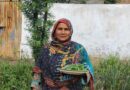 Gender Technical Working Groups – Boosting The Empowerment Of Women Farmers