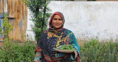 Gender Technical Working Groups – Boosting The Empowerment Of Women Farmers Gender Technical Working Groups – Boosting The Empowerment Of Women Farmers