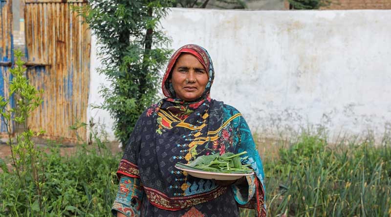 Gender Technical Working Groups – Boosting The Empowerment Of Women Farmers