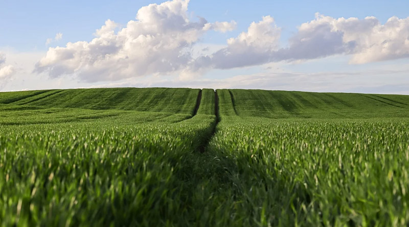 Get Tube Well Water Tested to Improve Crop Yield, Urges Agriculture Minister