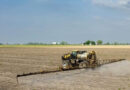 Glyphosate Ban Could Cost Illinois Farmers $300M-$600M Per Year