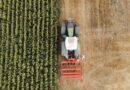 Glyphosate Ban Could Cost Illinois Farmers $609M