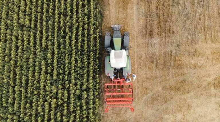 Glyphosate Ban Could Cost Illinois Farmers $609M