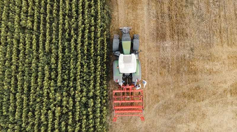 Glyphosate Ban Could Cost Illinois Farmers $609M
