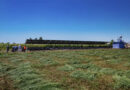Harnessing Solar Energy for Efficient, Collective, and Farmer-Led Irrigation in Egypt