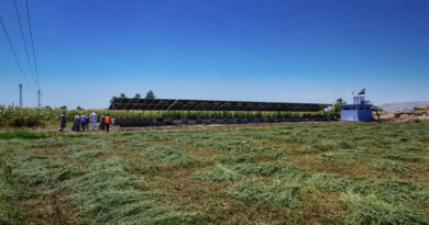 Harnessing Solar Energy for Efficient, Collective, and Farmer-Led Irrigation in Egypt