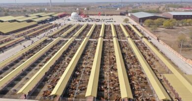 Hinggan League Agricultural, Cultural and Tourism Consumption Carnival Opens in Beijing