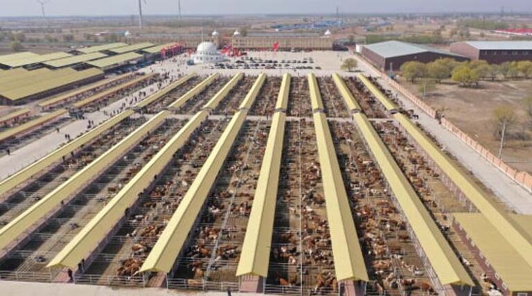 Hinggan League Agricultural, Cultural and Tourism Consumption Carnival Opens in Beijing