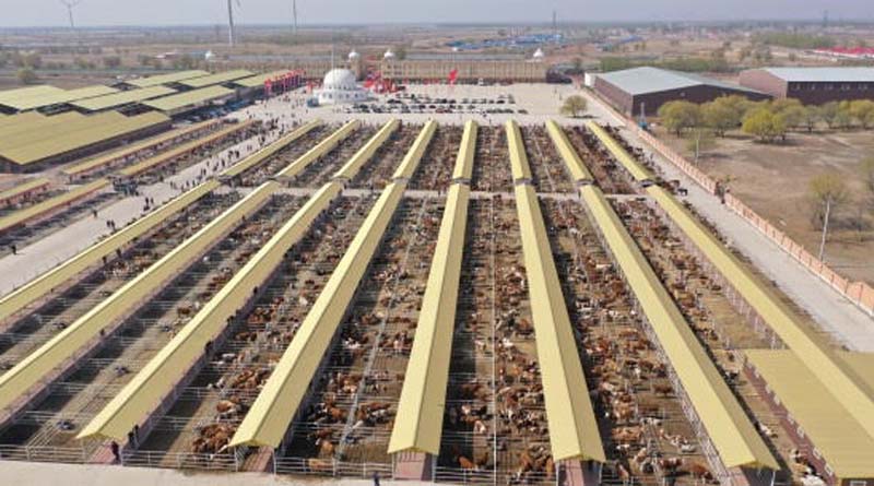 Hinggan League Agricultural, Cultural and Tourism Consumption Carnival Opens in Beijing